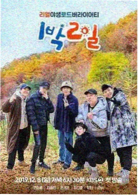 综艺 厨房失控现场 封面